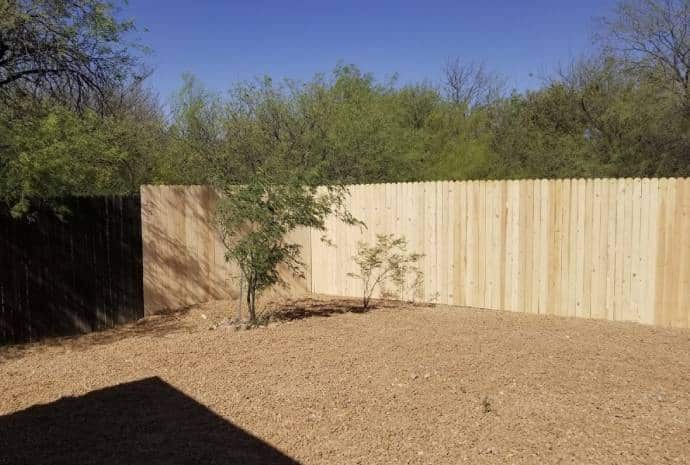 Wooden fence surrounding a barren yard.